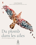 Du plomb dans les ailes